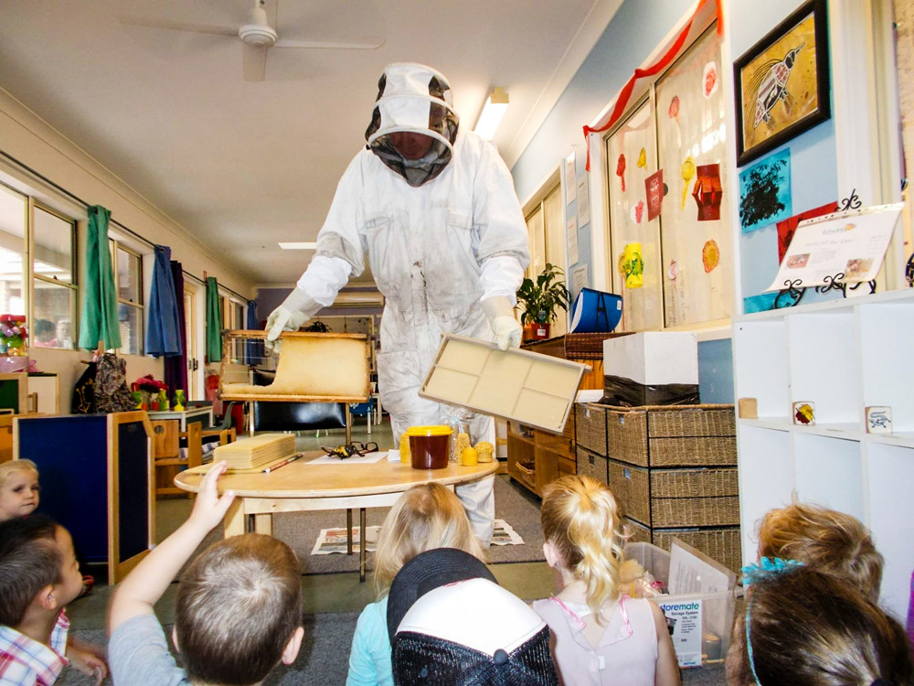 teaching school children about bees