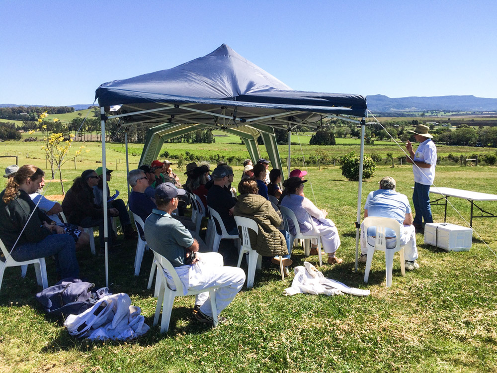 bee keeping workshops by illawarra bees